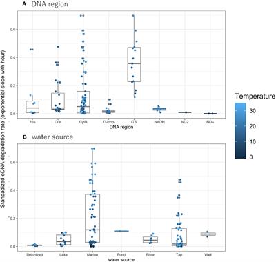 A Model and Simulation of the Influence of Temperature and Amplicon Length on Environmental DNA Degradation Rates: A Meta-Analysis Approach